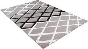 TA Koberec T237B GRAY LUXURY PP ESM Sivý Obdĺžnikový Rozmer: 220x300 cm