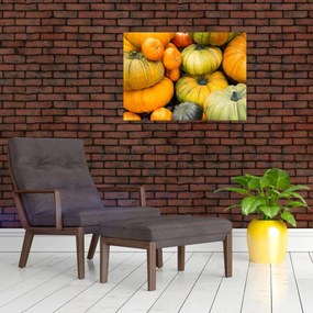 Obraz - Jesenná tekvica (70x50 cm)