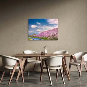 Sklenený obraz - Japonská jarná krajina (70x50 cm)