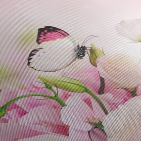 Obraz - Motýľ (90x60 cm)