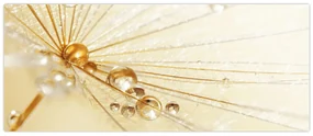 Obraz - Makro fotografie púpavy (120x50 cm)