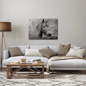Obraz - Portrét koňa (70x50 cm)