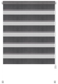 Tmavosivá roleta deň a noc 42,5x150 cm Zebra – Gardinia