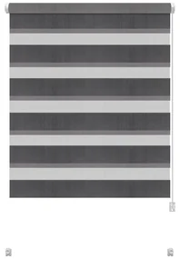Tmavosivá roleta deň a noc 68x215 cm Zebra – Gardinia