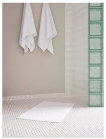 Sivá kúpeľňová predložka 50x80 cm Time – Zone