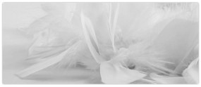 Obraz - Perie (120x50 cm)