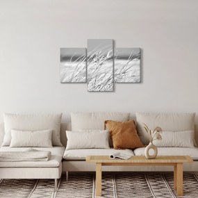 Obraz - Plážová tráva (90x60 cm)