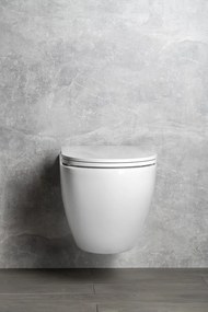 Isvea Isvea, INFINITY závesná WC misa, Rimless, 36,5x53cm, biela, 10NF02005