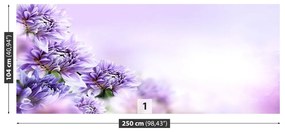 Fototapeta Vliesová Fialové kvety 208x146 cm