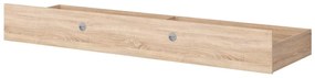 Zásuvka pod posteľ BRW Nepo Plus 10/11 (dub sonoma) . Akcia -30%. Vlastná spoľahlivá doprava až k Vám domov. 1098451