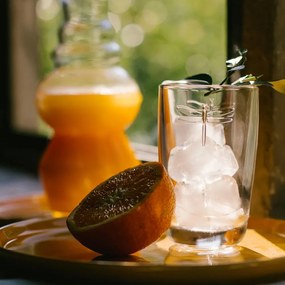 Pohár La Rochère Libellules, objem 350 ml