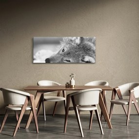 Obraz - Vlk, čiernobiela (120x50 cm)