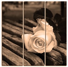 Obraz na plátne - Biela ruža na lavici - štvorec 3224FB (75x75 cm)