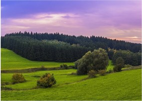 Sklenený obraz lúky (70x50 cm)