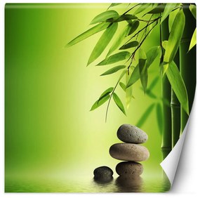 Gario Fototapeta Bambusové listy na zelenom pozadí Materiál: Vliesová, Rozmery: 100 x 100 cm