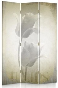 Gario Paraván Retro Tulipány Rozmery: 110 x 170 cm, Prevedenie: Klasický paraván