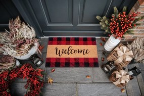 Hanse Home Collection koberce Rohožka Welcome 105699 – na von aj na doma - 45x70 cm