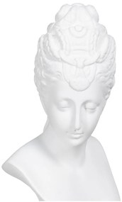 Soška z polyresínu (výška 29,5 cm) Bust – Ixia