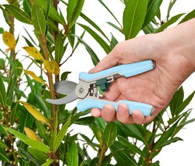 Záhradnícke mininožnice, 2 ks