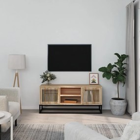 TV skrinka 105x30x45 cm kompozitné drevo a železo 352099