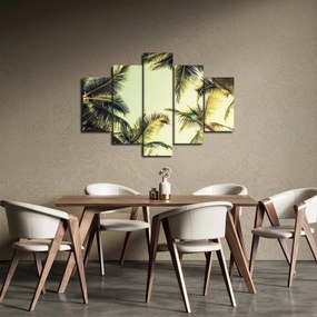 Obraz s kokosovými palmami (150x105 cm)