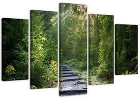 Obraz na plátně pětidílný Lesní příroda Zelená krajina - 150x100 cm