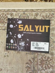 Spoltex, Kusový koberec Salyut beige 1579 B, 80x150, béžová, obývacia izba