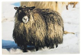 Rohožka k dverám Islandská ovce - 75 * 50 * 1cm
