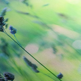 Obraz - Detail lúky (120x50 cm)