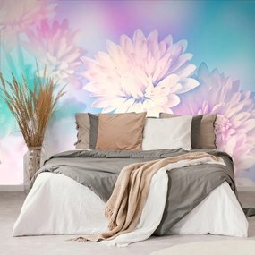Samolepiaca tapeta kvet chryzantémy - 300x200