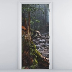 Fototapeta na dvere - V lese (95x205cm)