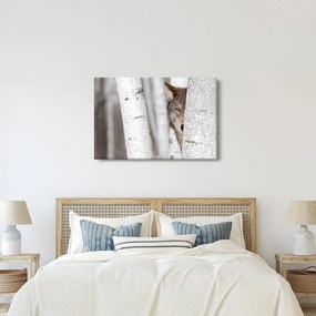 Obraz - Vlk (90x60 cm)