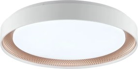 Brilliant - Stmievateľné LED stropné svietidlo WALDO LED/36W/230V biela/ružové zlato + diaľkový ovládač