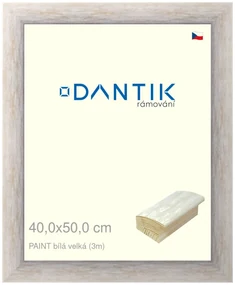 DANTIK rám na obraz 40x50 | PAINT bílá velká (Sklo Čiré)