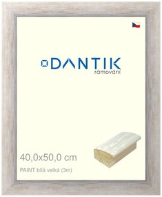 DANTIK rám na obraz 40x50 | PAINT bílá velká (Sklo Čiré)