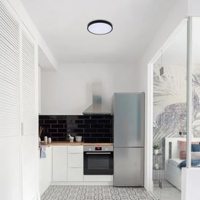 Rabalux 71435 - LED Kúpeľňové stropné svietidlo ALENZO LED/12W/230V IP44 čierna