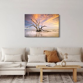 Obraz stromu v oceáne (90x60 cm)