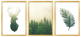Gario Sada plagátov Divá príroda - 3 dielna Farba rámu: Zlatá, Veľkosť: 135 x 63 cm