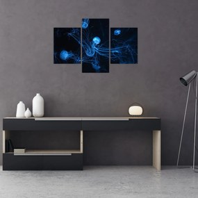 Obraz - Medúzy (90x60 cm)