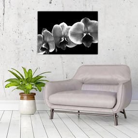 Sklenený obraz kvetu orchidey (70x50 cm)