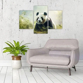 Obraz - Panda (90x60 cm)