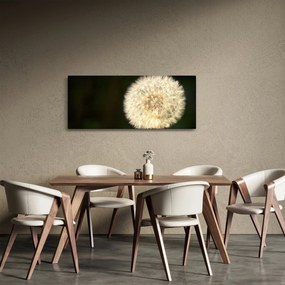 Obraz sivej púpavy (120x50 cm)
