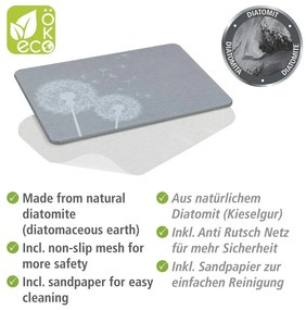 Sivá kúpeľňová predložka z kremeliny 39x60 cm Astera – Wenko