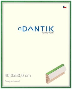 DANTIK rám na obraz 40x50 | EVOQUE zelená (Sklo Čiré)