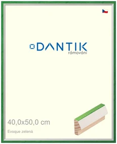 DANTIK rám na obraz 40x50 | EVOQUE zelená (Sklo Čiré)