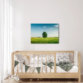 Obraz stromu uprostred lúky (70x50 cm)