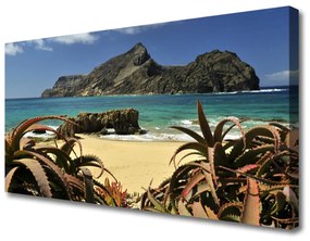 Obraz Canvas Pláž more skala príroda 120x60 cm