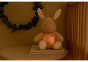 Little Dutch - Newborn Naturals usínací zajačik so svetlom a melódiou