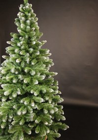 Vianočný stromček- Borovica so snehom 250cm