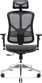 Diablo Chairs - Ergonomické kreslo Diablo V-Basic: čierne